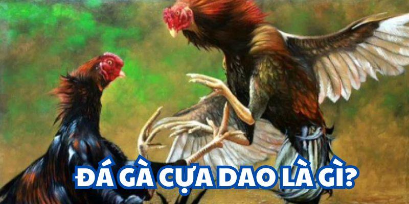 Đá gà cựa dao và hiểu biết tổng quát