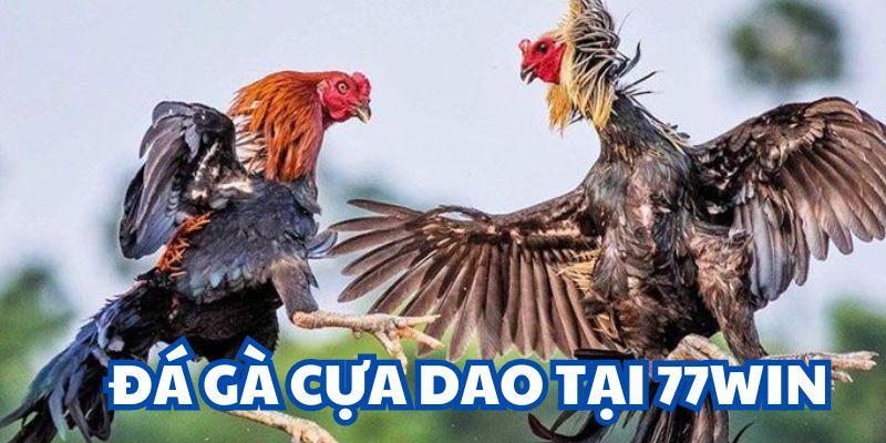 Sân chơi chọi gà đầy thú vị với thế mạnh nổi trội